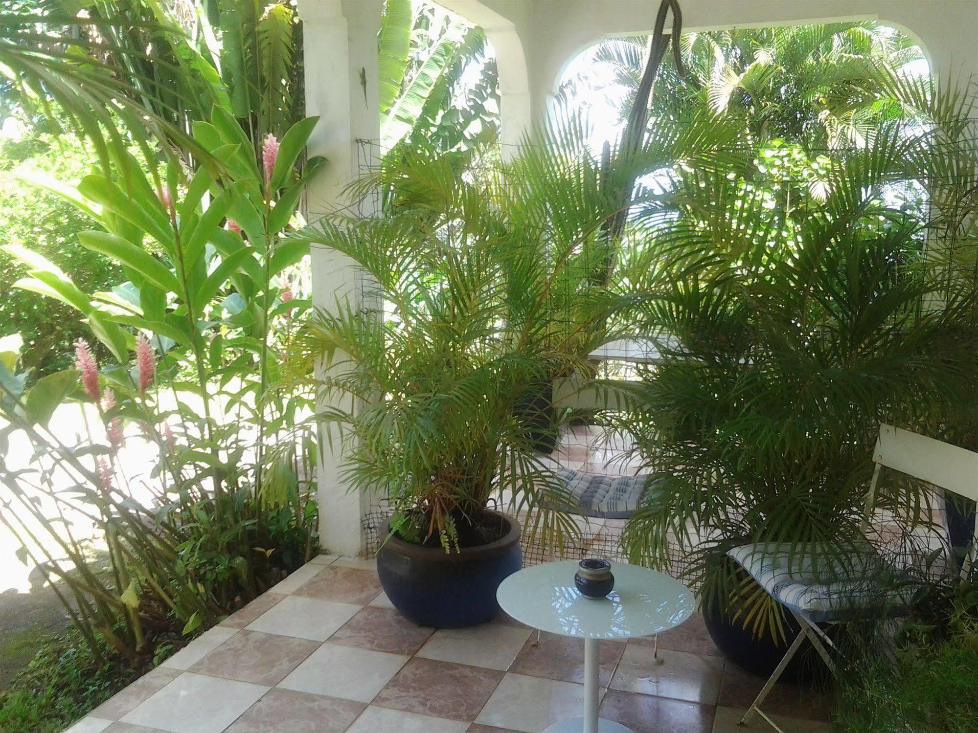 Villa Galerie لو أنسيه دو أرليتز المظهر الخارجي الصورة